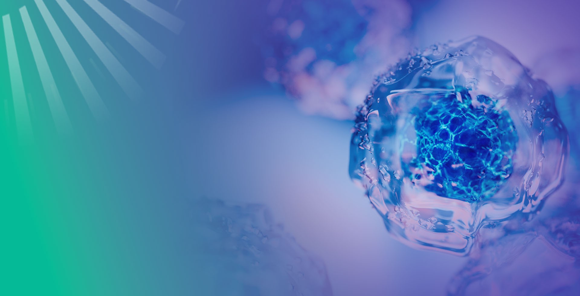 Single Cell Sequencing