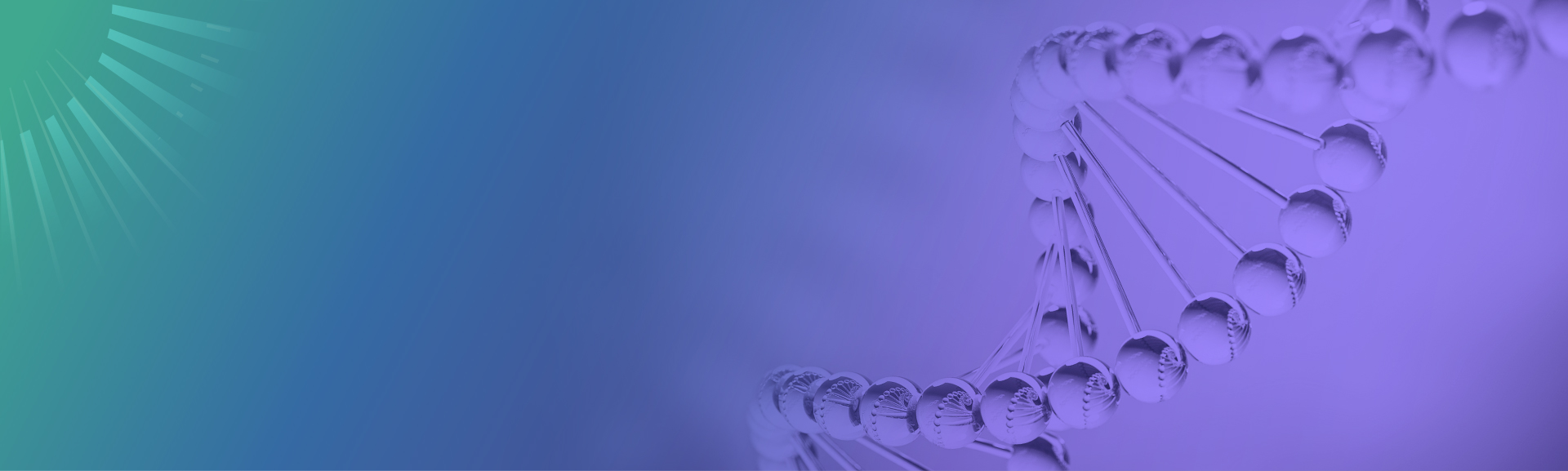 Sanger Sequencing