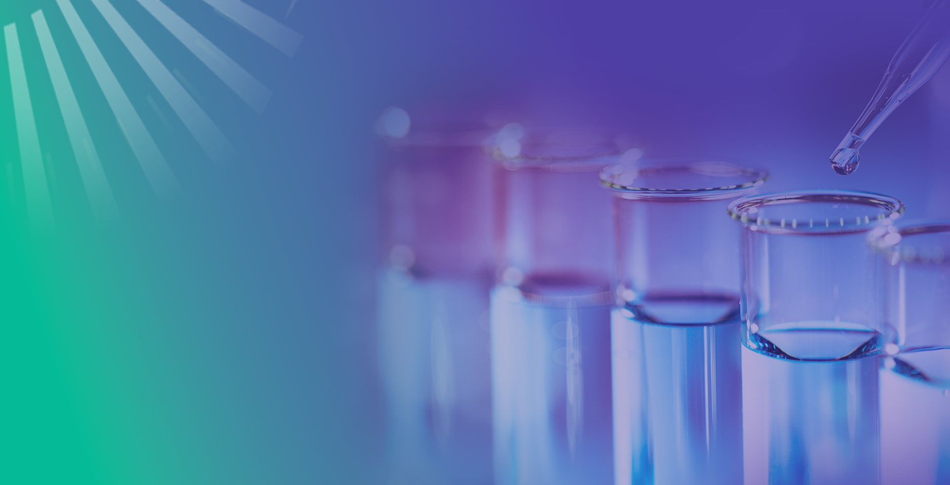 Sequencing to Plasmid