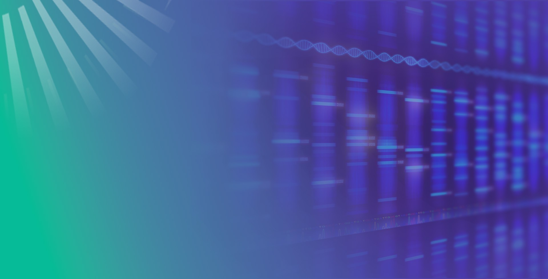 Hybrid Whole Genome Sequencing